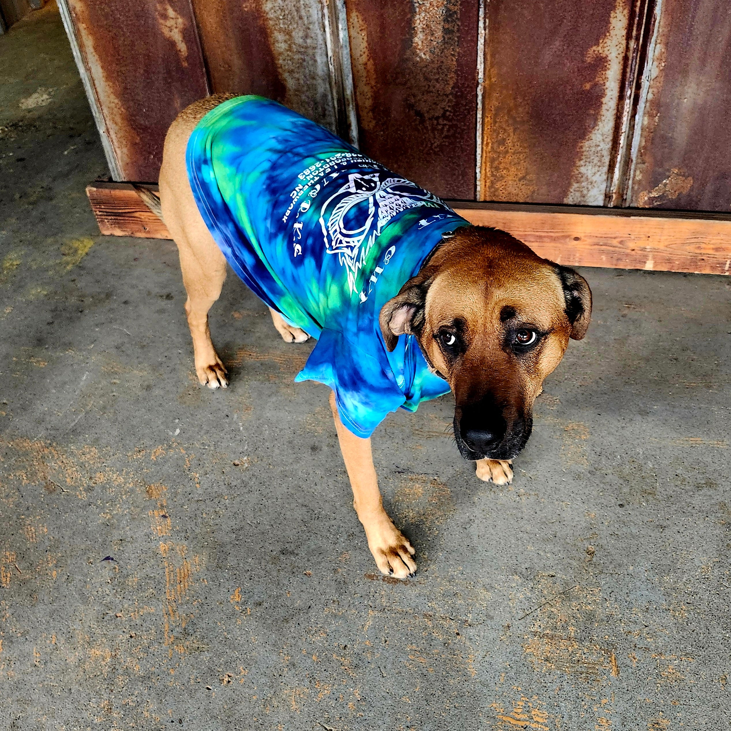 OG Tee